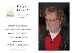 Muster-Flügel_Peter_№37