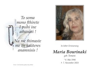 Muster-Bourinaki_Maria_№2
